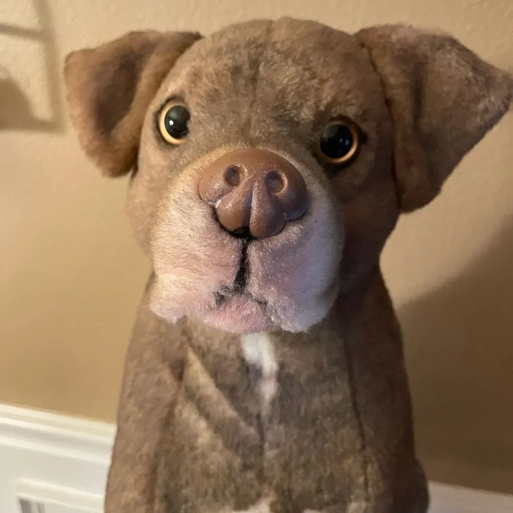 Petsies Custom Made Dog in Memorial Does This Look Like Your Dog?’